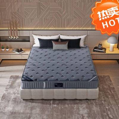 席梦思弹簧床垫软垫软硬两用床垫家用睡垫20CM厚酒店双人适老床垫