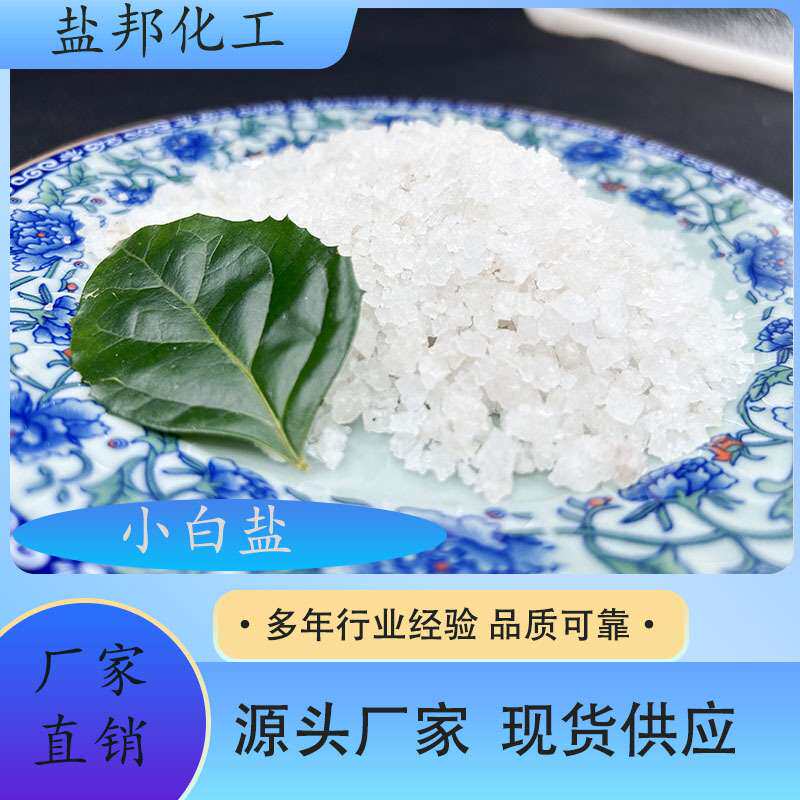 小白盐 颗粒状水处理融雪剂防冻锅炉软化水用 日晒盐