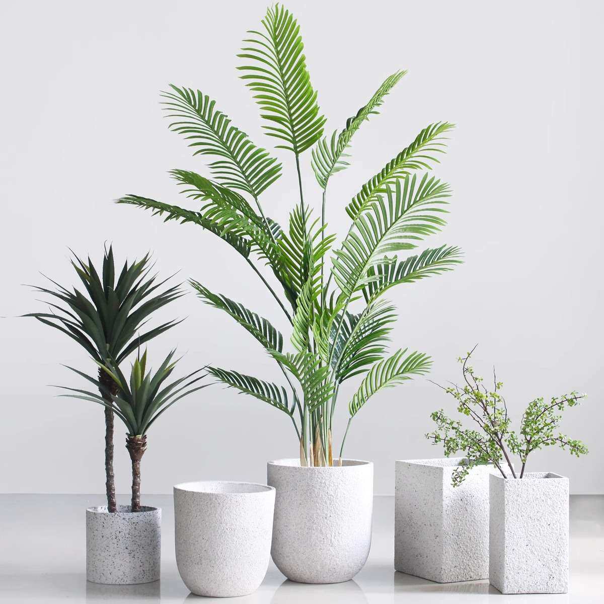 艺卉绿植凤尾葵橱窗装饰盆栽散尾葵造景室内植物民宿盆景仿真绿植