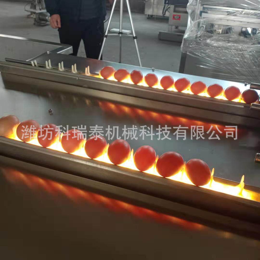 笨鸡蛋鸡蛋清机 厂家直销全自动蛋NHV全套 生洗产土洗洗蛋机厂家