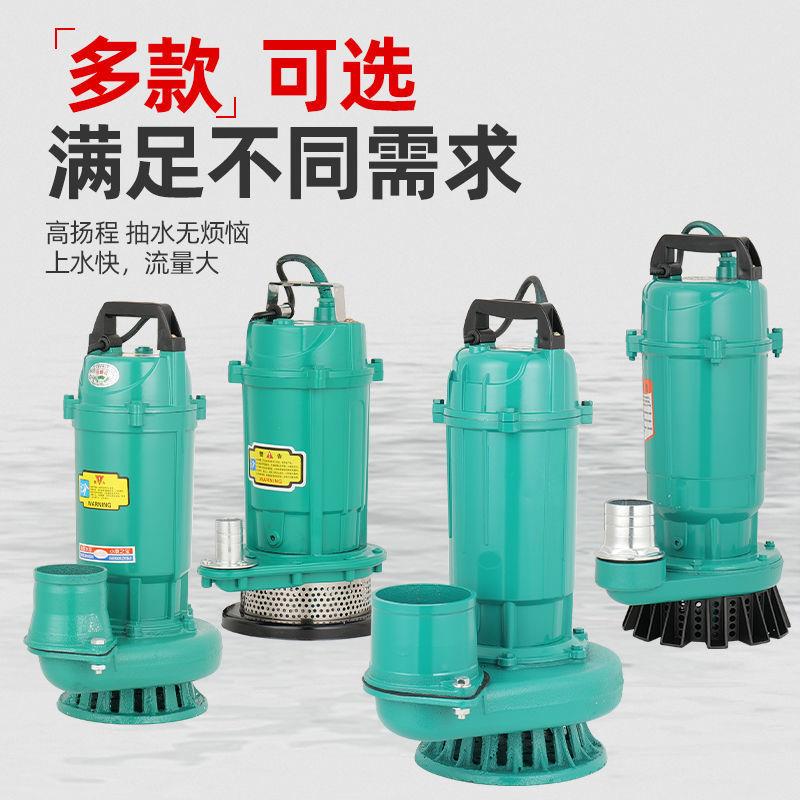 人民水潜水泵220V全铜家用小型清水泵扬农用无品牌/灌程溉高泵抽