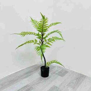 北欧风仿真猴头蕨树植物大型类盆栽装 绿植N14树饰蓝假花楹波斯厥