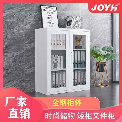 震室海文件柜色落地矮柜办公玻资料柜璃门钢制隔断柜ZHJJ-11白移