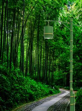 3米主杆庭76m照m竹节院路灯绿色铁艺节景竹观灯庭院灯竹林景区户