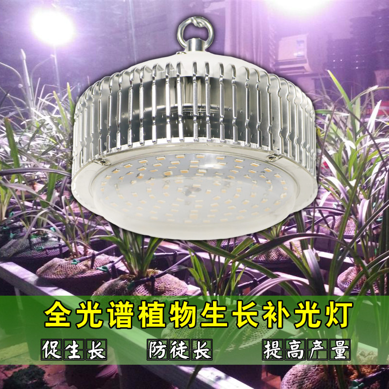 画山千led全光谱兰花补光灯育苗蔬菜大棚室内绿植多肉植物生长灯