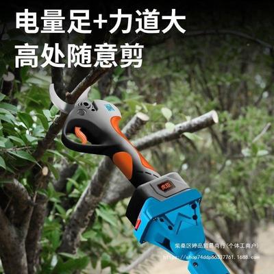 德国林虎臣电修枝加长杆大NCD功率园工具高枝剪动伸自缩杆全动