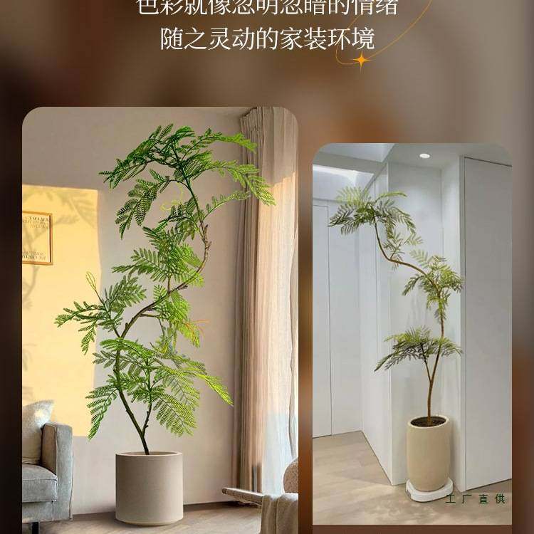 绿植装饰摆件落地大型客厅入户玄关电视柜旁边室内盆栽蓝花楹仿真