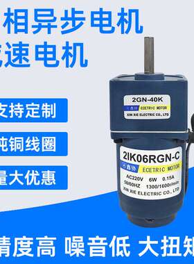 2lK06RGN交流减速电机220V6W调速电机微型单相异步电动机马达厂家
