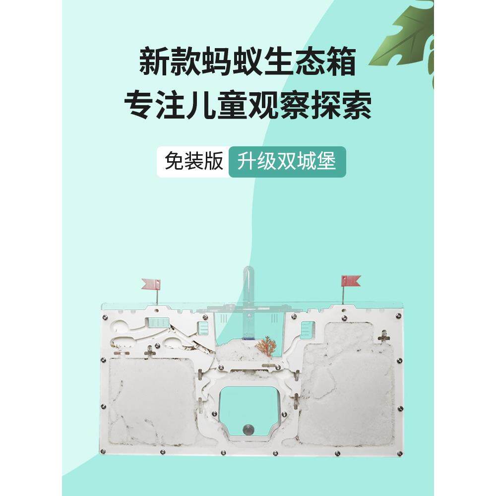 观察宠物蚂蚁城堡学生蚂蚁工坊型版繁殖箱送蚂蚁蚁后生态蚁巢