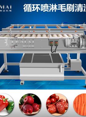 海产品生蚝去蔬杂清洗机姜水果菜DFI毛刷清大洗机鲜姜平行清洗机