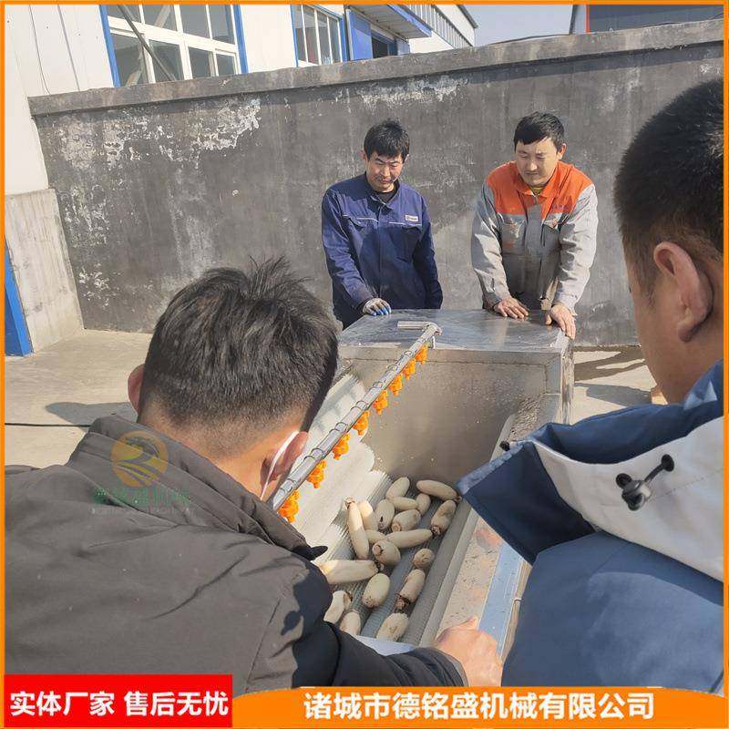 喷淋清洗土豆去皮机菏泽DMS20211莲藕辊清去皮洗机机洗土豆毛器