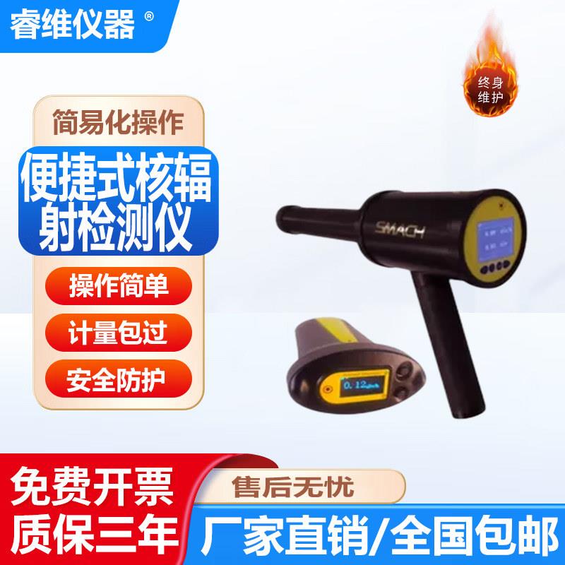 核辐射检测仪RP6000个人剂量报警仪放射性X-γ射线巡检仪RG1100