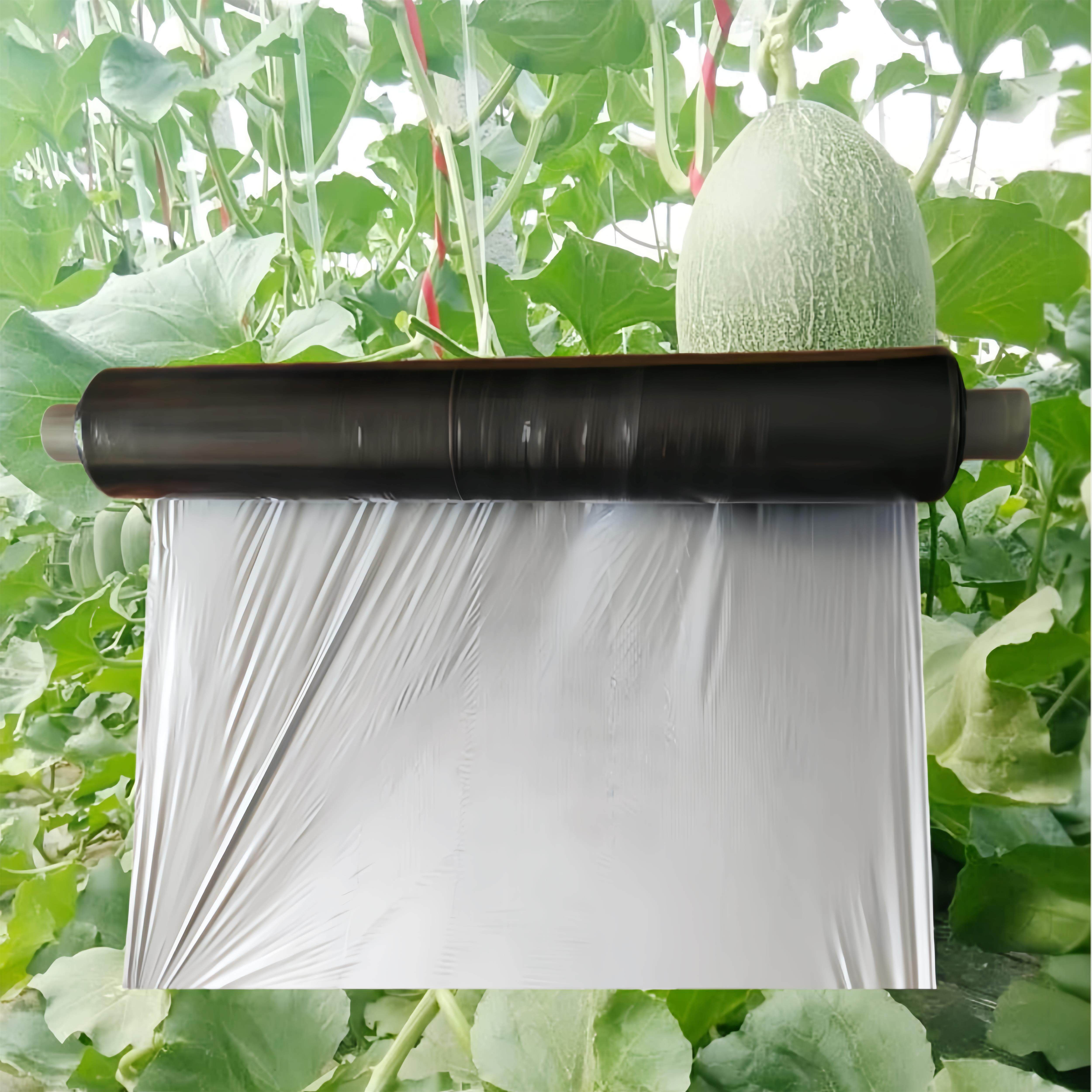 农用银黑双色反光银灰地膜草莓西瓜蔬菜果树种植除草除虫保温保湿