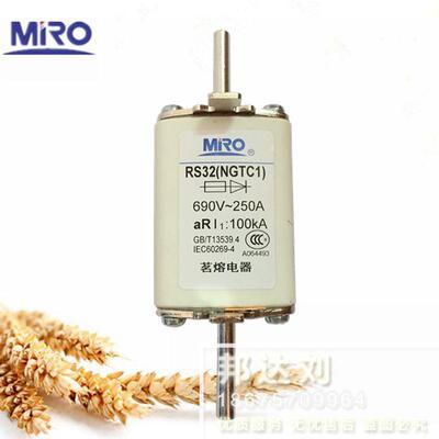 RS32 NGTC1快速熔断器690V/660VRS32 100A160A200A250A 1000V