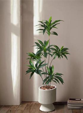 天鹅绒仿绿植假树ZXU花室内落地栽仿生植物客盆厅奢摆件真装饰轻