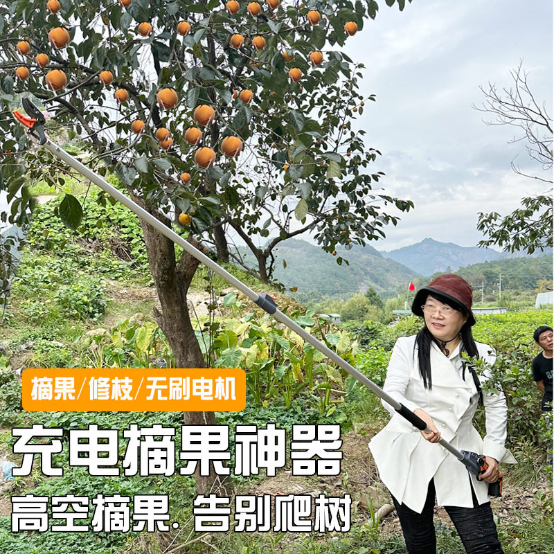 锂电高枝弯头粗枝剪摘果两用
