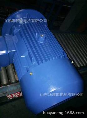 华雅能E2DJQ-10L6-4-15K电机绝缘等级F级WH级高Y海拔环境应用广泛