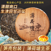 薄荷塘普洱生茶饼357g大叶种春茶木质包装 复古风清甜爽口笋壳装