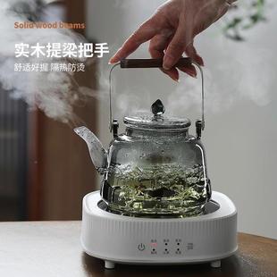 高硼煮硅壶玻璃茶烧水壶蒸煮一热体可明火加器大容量红绿青莲壶茶