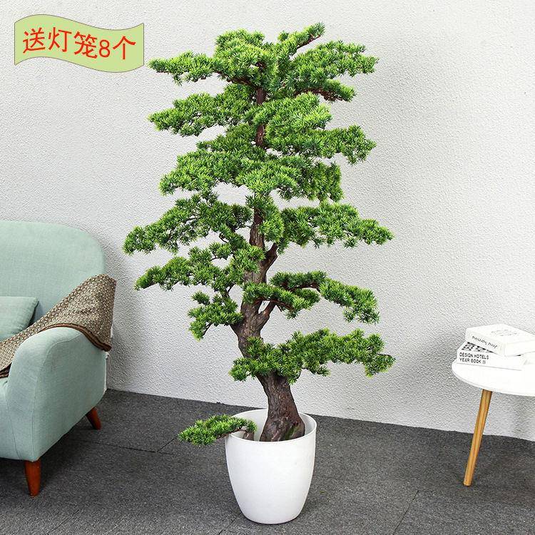 仿迎松盆景摆件假树罗汉blecMaly松树塑料花盆物栽植室内装客饰花