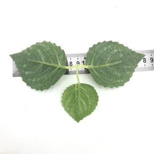 仿真三茶树叶丝印骨仿叶真WKI花仿射真树丝花叉绢花叶子配件材料