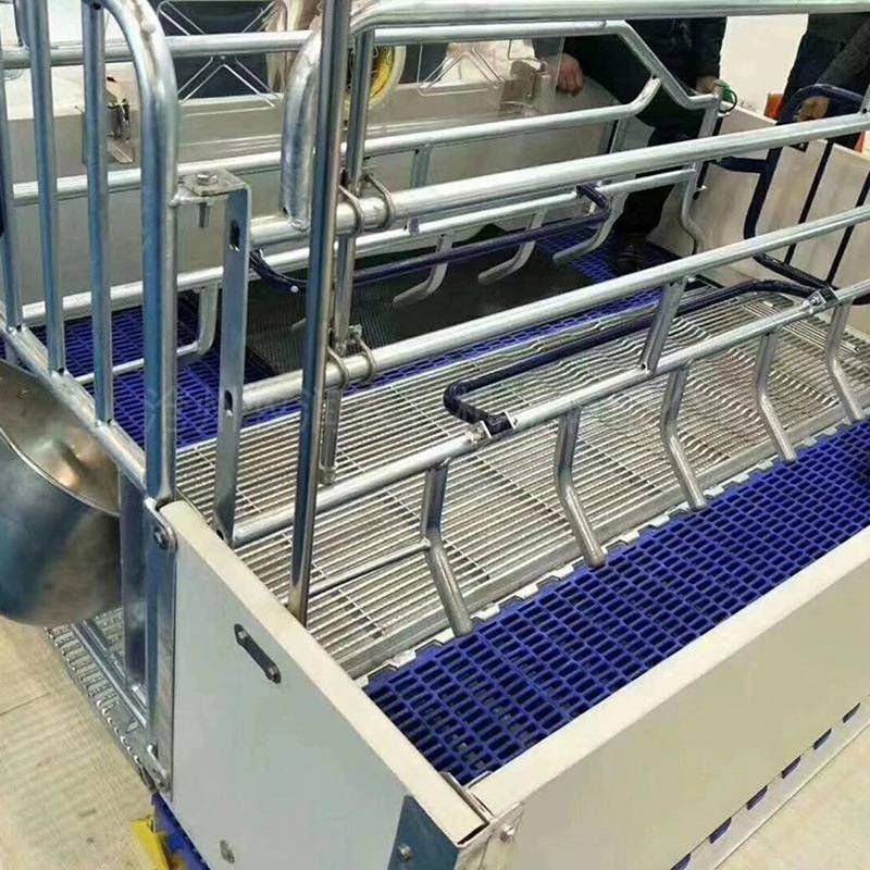 热镀加厚2猪5锌全欧式母产床牧洛丰养.殖场用母猪分娩床pvcLOS隔