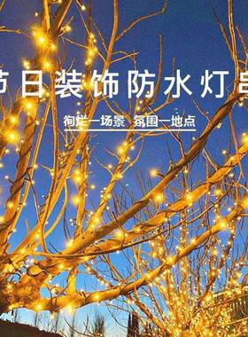 2款025新英花太阳能灯串欧规YYQ/规插电户外防水园庭院工程led装