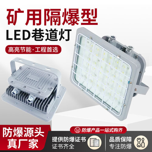 DGS100/127L(A)矿用LED巷道灯 100W/220V煤矿/隧道用防爆型照明灯