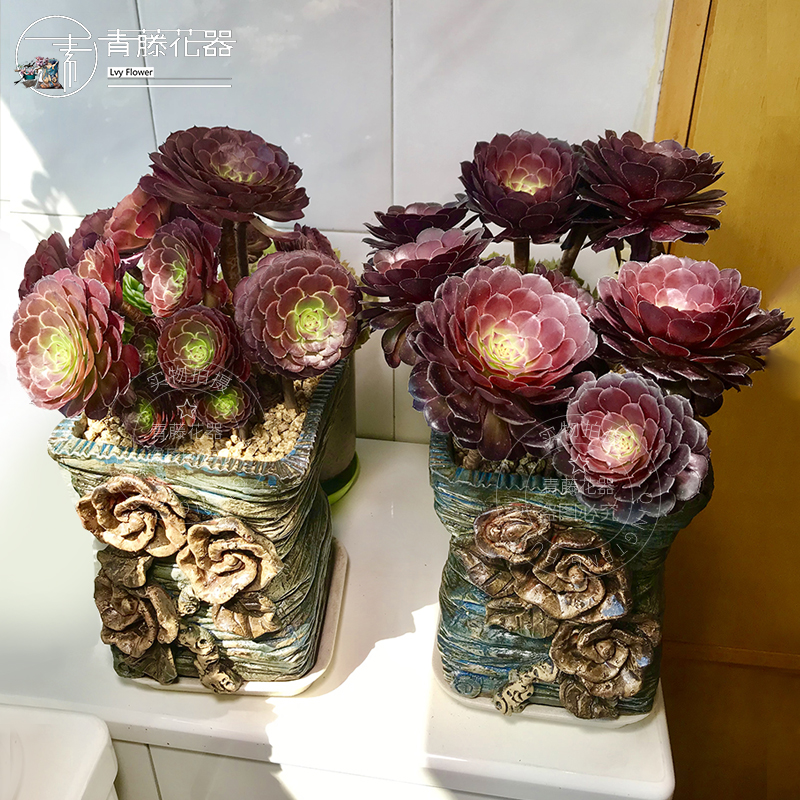 青藤花器韩式多肉粗陶花盆复古手绘透气缀化黑法师仙女杯老桩高盆