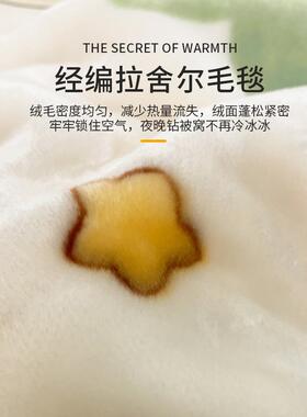 拉舍尔瑚M8TH89JJ毛毯铺床冬季加厚珊绒盖被沙发午睡毯小子学生宿