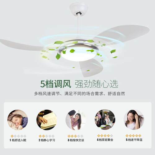 款新时尚简约客厅风扇灯大风餐厅卧dCK-1063室风扇吊灯后现力代le