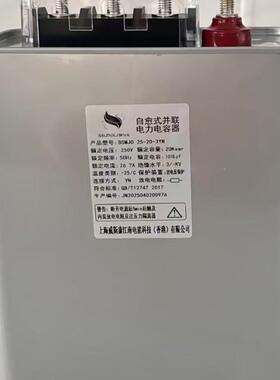 B无品牌/SJ自补愈式并联电力电容器分系列0.251-5M-10-5-3Y250V低