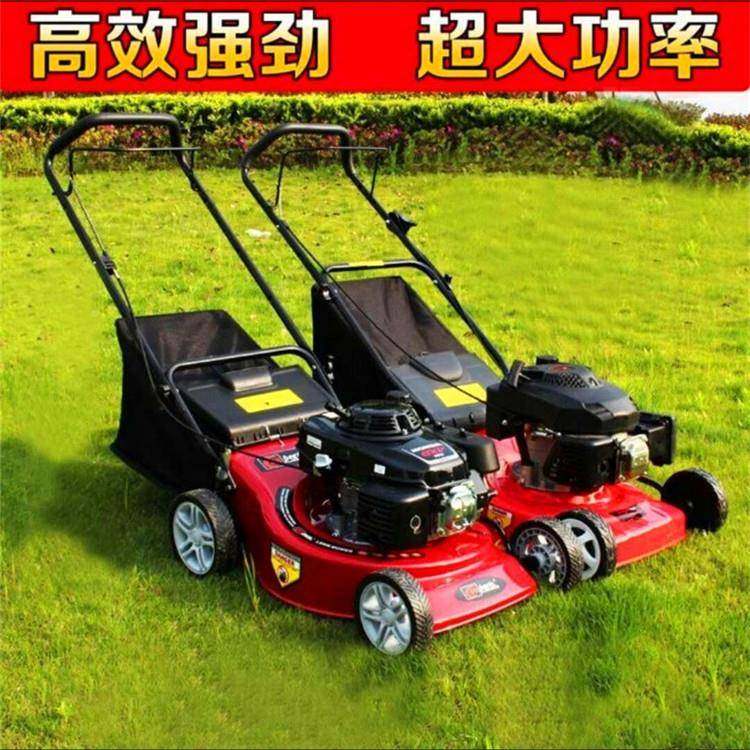 销果割UYA园农田手推式草草坪除草机汽油四冲程机2直0寸收割除草,农机/农具/农膜,割灌机/割草机/油锯,淘宝优惠券,粉丝福利购,淘宝优惠卷