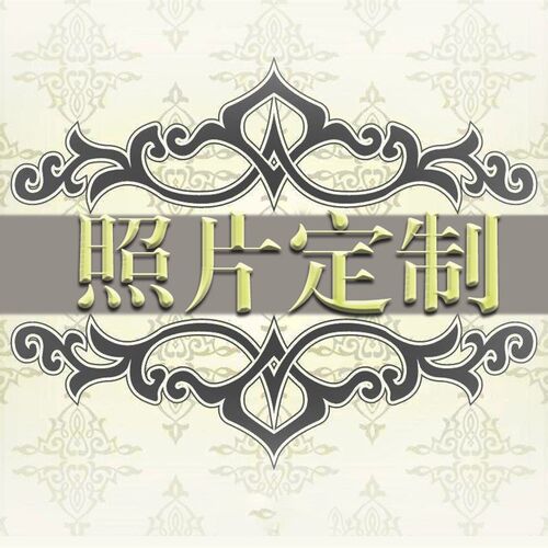 数字油画diy明星漫画个人照片来图定制