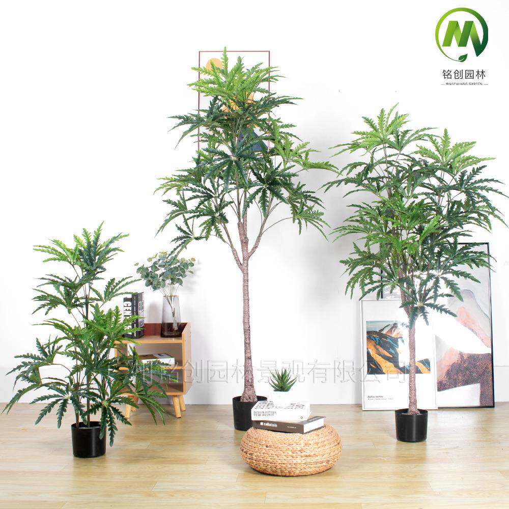 仿真植物客厅带盆孔雀木仿真绿植八角叶盆栽室内大型孔雀木绿植