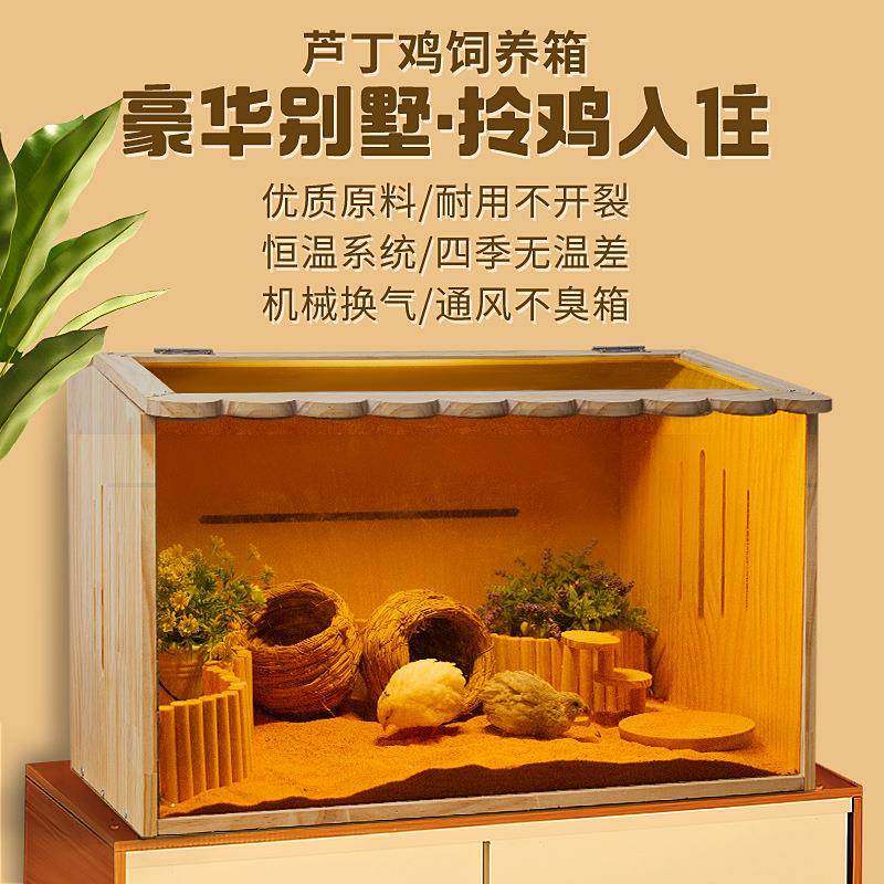 芦丁鸡饲养箱育雏养殖专用恒温笼宠物窝别墅卢丁鸡的全套造景房子,鲜花速递/花卉仿真/绿植园艺,割草机/草坪机,淘宝优惠券,粉丝福利购,淘宝优惠卷