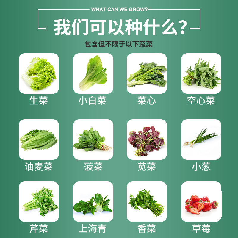 定制阳台无土栽培蔬菜设备水培管道式家用生菜水培草莓室内种菜机