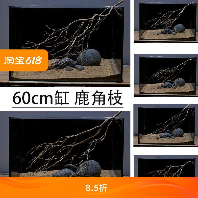 南美鹿角枝鱼缸造景树枝沉木溪流缸枯枝60缸枝条组合鹿角枝沉木图片