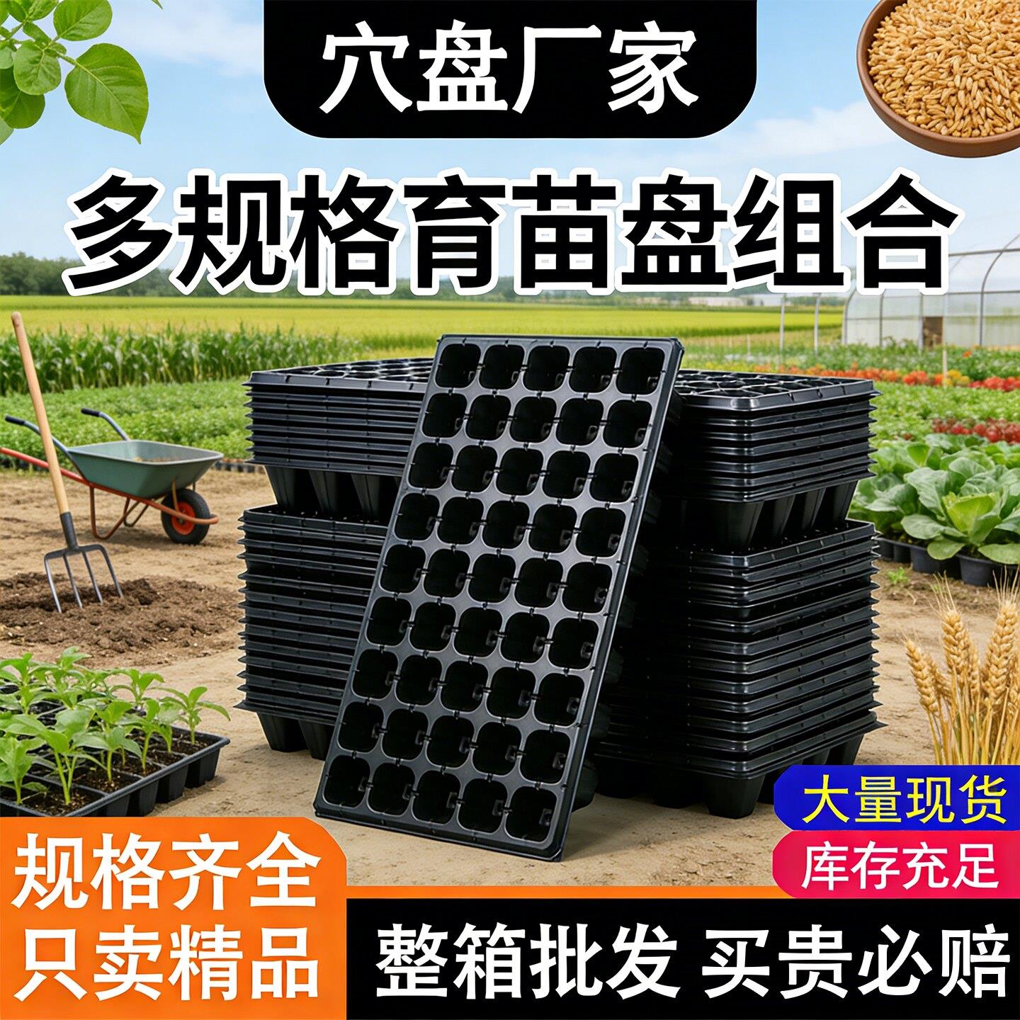 育苗盘育苗盆穴盘塑料杯多肉种植蔬菜育种专用盘托盘育苗盒