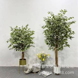 仿真白边小QUN榕造树真杆树人假树酒店室内榕植大型绿盆栽装饰摆