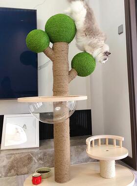 玩具仙人人掌麻猫猫咪架仙人球TFM仙粉色绿色猫磨爪抓剑柱抓板掌
