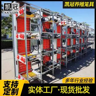 框架蛋鸡笼工业化养殖设备全自动化畜牧饲养机械热镀锌立体养鸡笼