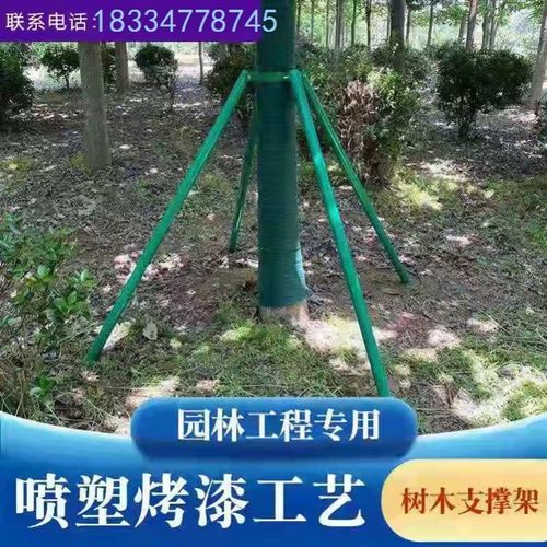 支架金属铁苗木钢管园林防风树木支撑架抱箍大树固定器绿化镀锌