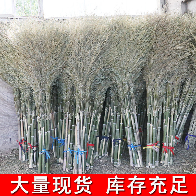 大扫把扫地马路扫院子的塑料丝庭院家用单个小笤帚长扫室外竹扫帚