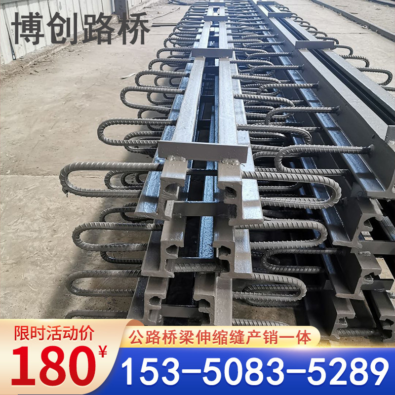 公路桥梁伸缩缝GQF-C40D80E160型异型钢变形毛勒缝伸缩缝胶条装置