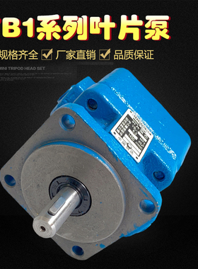 叶片泵YB1-10/6/4/12/16/25/32/40/50/63/80/100打包机磨床油泵