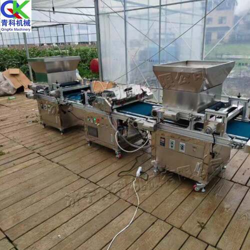 全自动穴盘木育苗播机育林种木苗播种机黄瓜西瓜苗播YOG种机