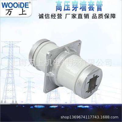 CM-10KV/90 100 160 CMW-20KV/180 270白色陶瓷母线穿墙套管
