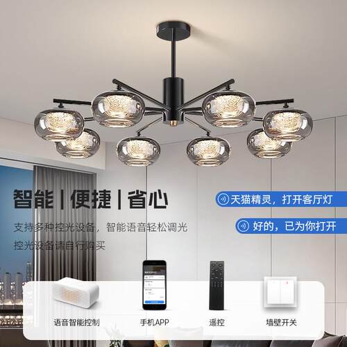客厅吊感意式697轻奢主灯225年款0大气极灯简全屋灯具套餐组新合
