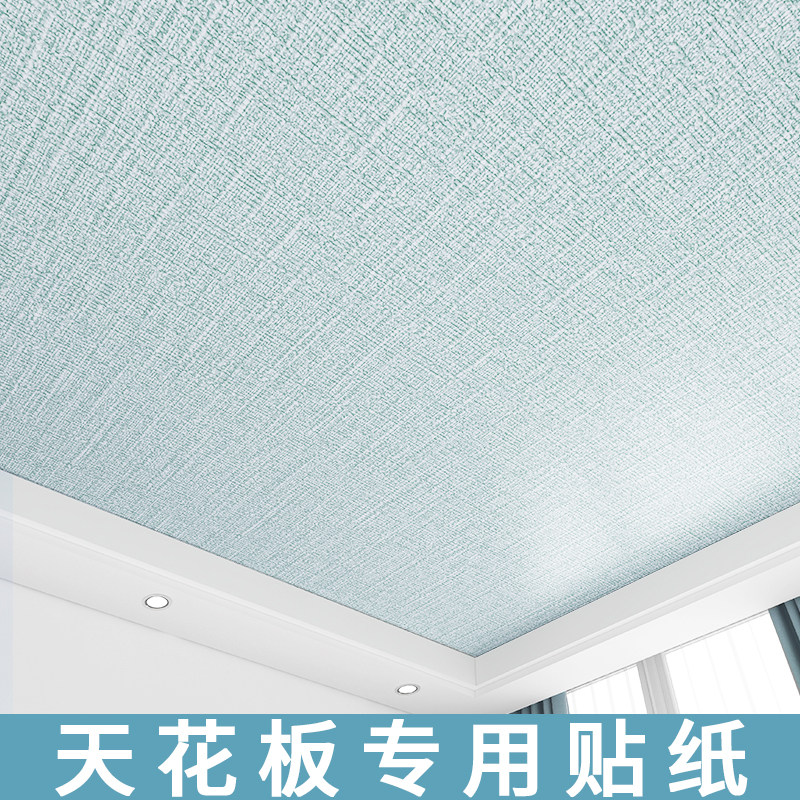 天花板贴纸自粘3d立体壁贴墙面装饰遮丑房间屋顶悬吊式天花板自装